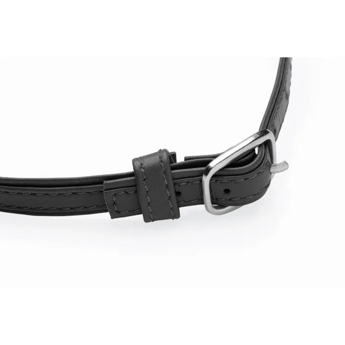 Master Series Couples Master Series Sex Pet Leather Choker with Silver Ring Black