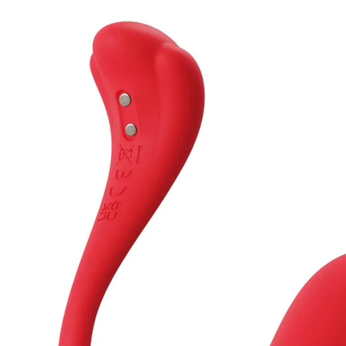 Female Sex Toys Svakom Svakom Phoenix Neo 2 Interactive Bullet Vibrator
