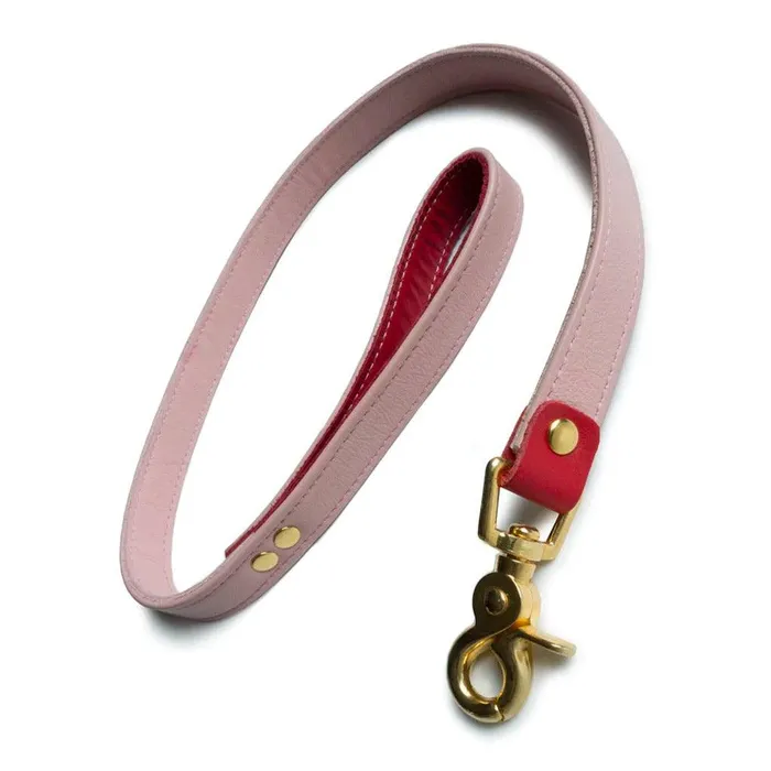 vendorunknown Premium Garment Leather Leash w 18k Gold Plated Hardware Restraints