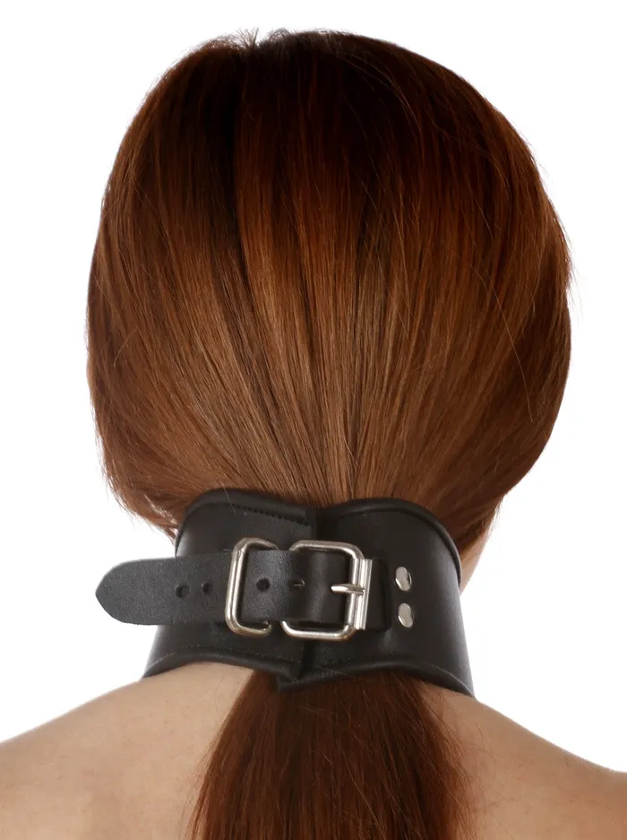 Male Sex Toys HonourSkintwocom Leather Posture V Ring Collar