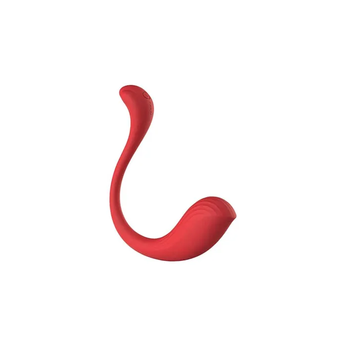 Svakom Limited Edition BDSM Phoenix Vibrator Gift Set Svakom Female Sex Toys